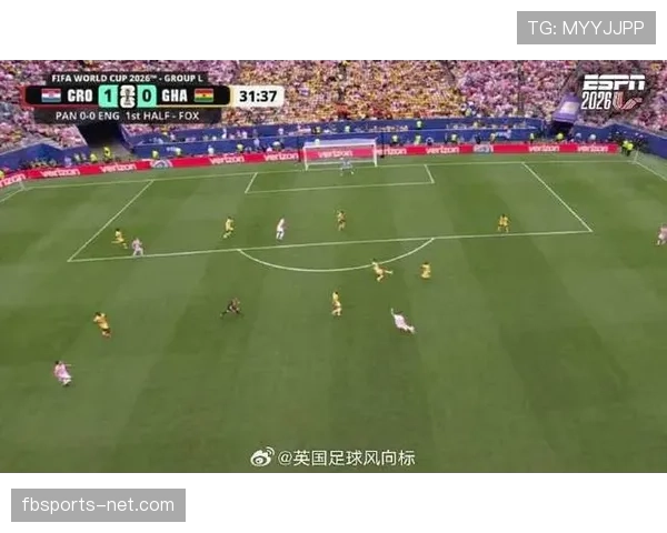 加纳世界杯小组赛资料：末轮失利无缘出线